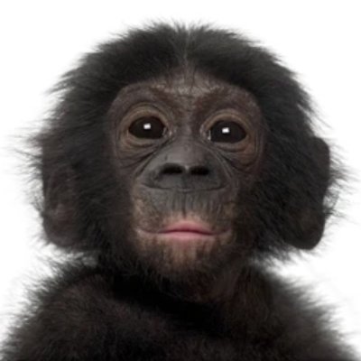 unclemonkeyxx's profile picture. Fin to be woth