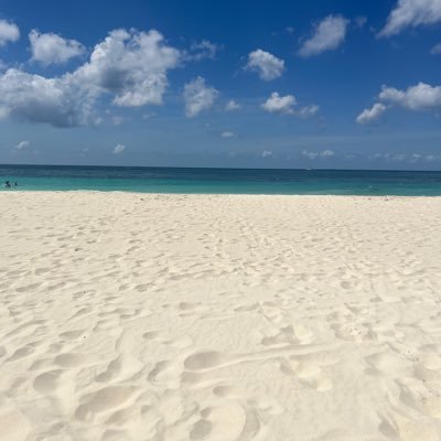 FillersRon's profile picture. AMC APE GME MMAT MMTLP INVESTOR