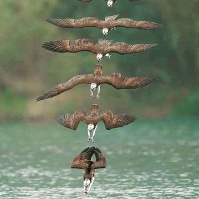 AnieEmmakulate3's profile picture. Investor, Financial trader📊
🕸️