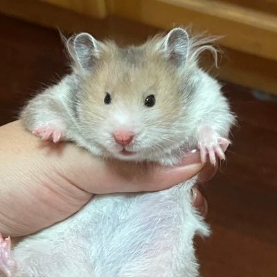 Shutterspeed06's profile picture. 