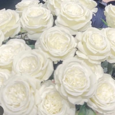 t2259307297318's profile picture. 