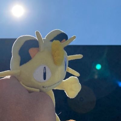 bonji_y's profile picture. 猫好き❤️Web Developer