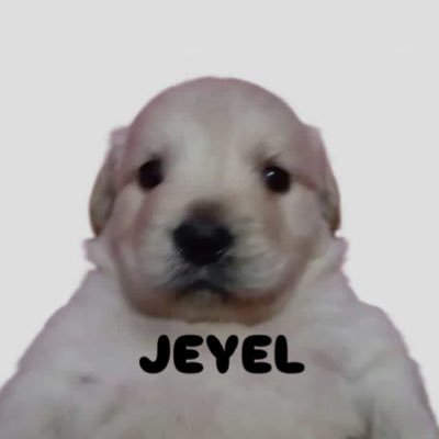 GOLDEN ROOKIE āØāØJay Lawrence āØāØ š¦ (9ļøā£)