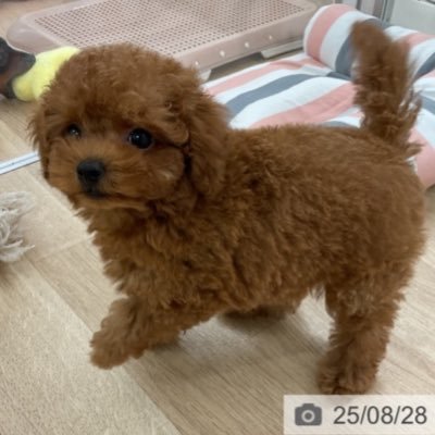 Jyu2019's profile picture. 