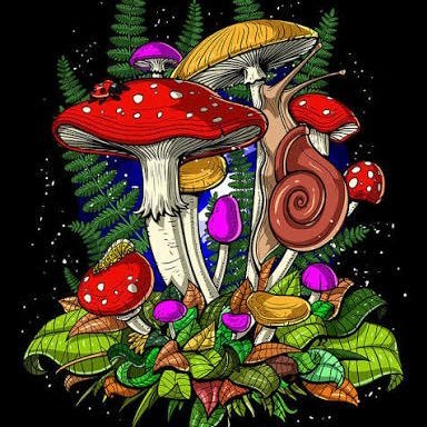 British patriot🇬🇧 psychedelic/mushroom farmer dealing with other products #ukcannabis #vapes #pills 🍄💨💊🇬🇧