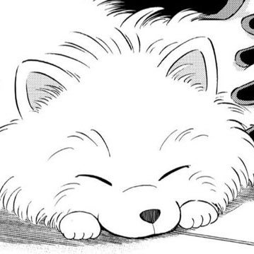 etuceiznek's profile picture. 20 ⬆️ | 구독계입니당 님 트윗이 좋아여!