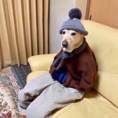 Everydaytweet96's profile picture. 