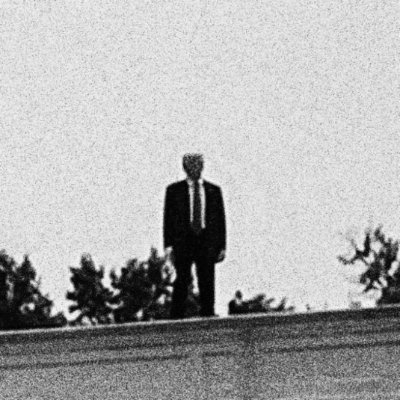 WindyWindyc's profile picture. 