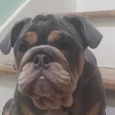 carney_p6531's profile picture. 