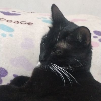 Bunk82227's profile picture. 