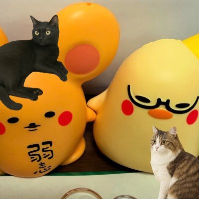 好きなことを呟きます! 無言フォローすみません 邦ロック(USG.ビーバー、クリープハイプ…etc)、孤独のグルメ、ねこ、ジョジョ、なつめさんち、 YouTube始めたので良かったら見てください🐱