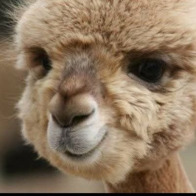 Marygoodtrouble Profile