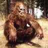 jaeger71's profile picture. grey bearded, whiskey drinking, former medium speed guy, dirt bike racer, never growing old.
