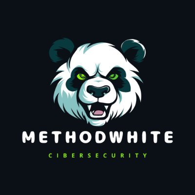 Cibersecurity Engineer | Researcher | Developer Backend & Frontend | Project Management with Agile Methodologies