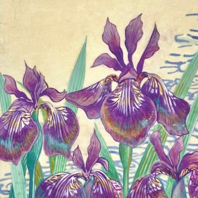 宮澤あやめさんのプロフィール画像