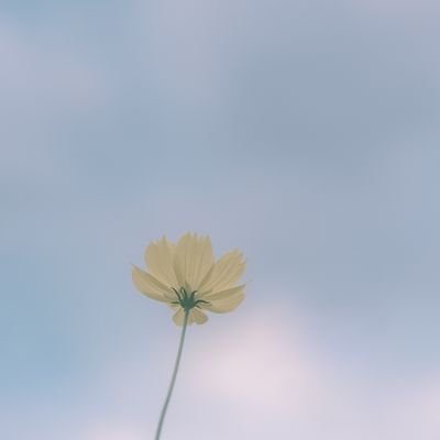 ___breathblue17's profile picture. 誰かがそっと、愛してくれたら。　　　　　　

　　　　　　　　　　　　　　　　　　　　　　　　　　　　　　　　📷 SONY α7IV