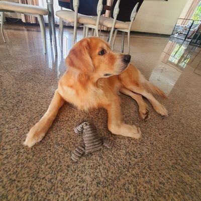 MelvinML_'s profile picture. Have Fun 😊🤘
Atin Oshi😎