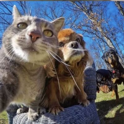 shangshan222's profile picture. 在逆境中成长  在顺境中收获