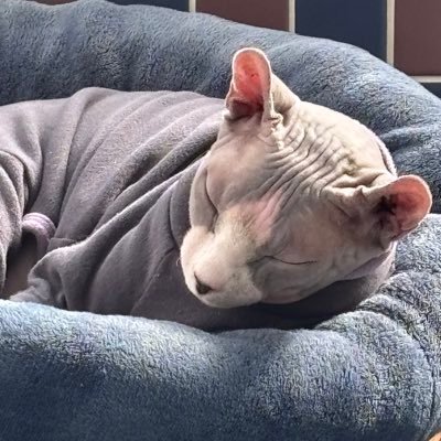 tiredofcons1978's profile picture. 