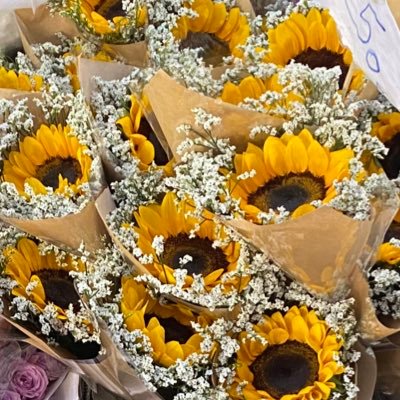 _mariannesjuii's profile picture. 