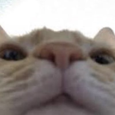 Eisha_nahomy171's profile picture. 