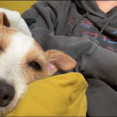 Tecchan_0108_'s profile picture. 20↑ボーイッシュ￤音ちゃん￤うぃずくん￤紗耶華ちゃん推してます🫶🏻 ギターヒーローになりたいおとらーです🎸