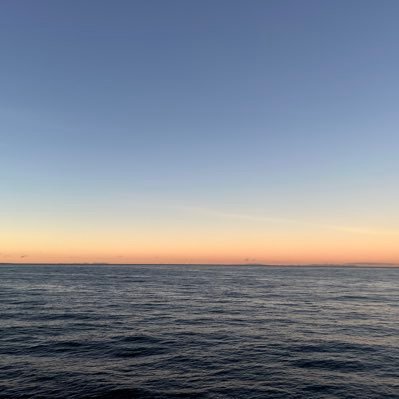 MapenaBot's profile picture. Escuela 5 y 9, Industrial de Lota, Preu en el sindicato minero. Creo en la libertad y en el Chile que hemos construido.