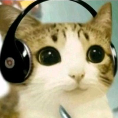 lifeprivate67's profile picture. 