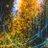 nanashi_2023