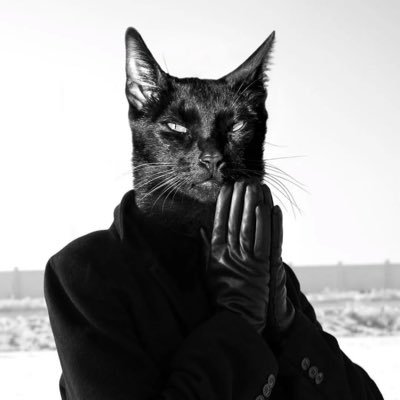 Vijayaprasath_'s profile picture. Pragmatic , D clan 🎴