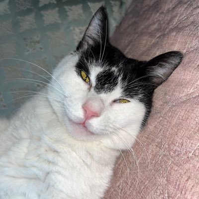 suzy1217616's profile picture. 