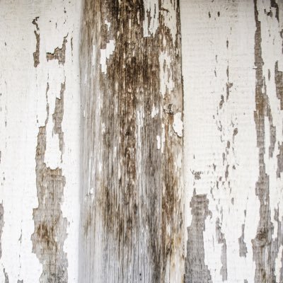 matt01sd's profile picture. 