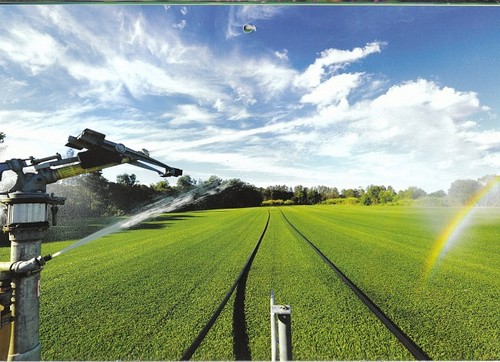 RosemountTurf's profile picture. Quality Turf Suppliers in Australia, located on Queenslands Sunshine Coast.
'The Experience Grows On You'