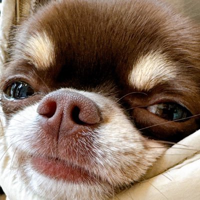 2年ほど前に福岡に移住(グランドメゾンに賃貸で住んでます)。半年前くらいから中央区を中心にマンション探してますが、値段の上がり方がエグくてストレスで弱ってきてます誰かたすけて😂