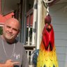 Michaeljp2424's profile picture. Love watching sports, fishing and gambling and shooting my guns. Proud American and supporter of the 2nd amendment.