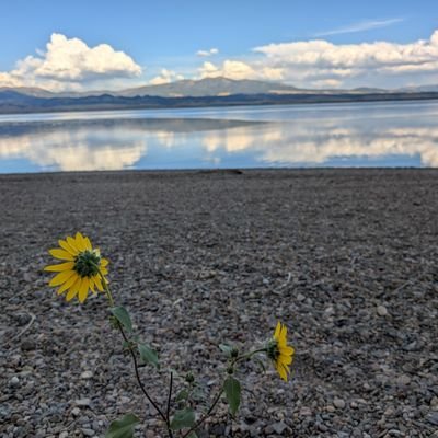 JasonSteff808's profile picture. #longcovid #4years