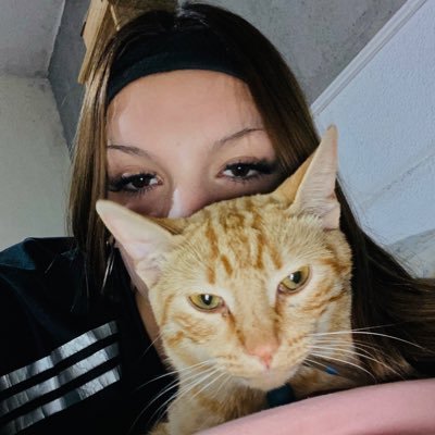 ˢⁱ ⁿᵒ ˢᵘᵐᵃ ᵠᵘᵉ ⁿᵒ ʳᵉˢᵗᵉ🎰