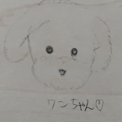 vEhA5tdu4R94541's profile picture. ミュージカルとバレエが大好きです🥰
ぜひ気が合う人と話したいです！
フォローしてくれる人まってます✨️