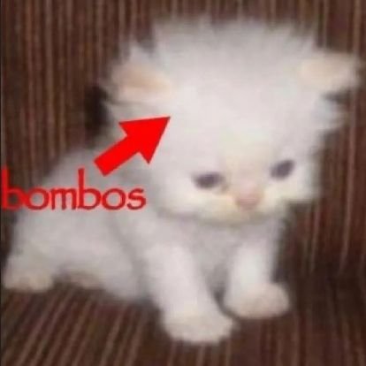 mertakanyandas's profile picture. 