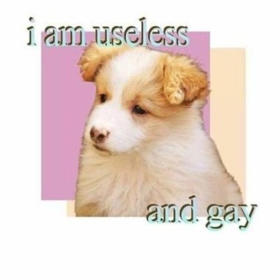 Jason58506's profile picture. Burner account