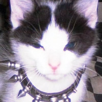 Kokira00's profile picture. ?