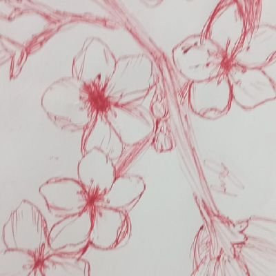 rohitkrpal2's profile picture. University of Allahabad