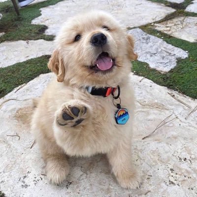 iossk2's profile picture. R•E•S•T สิ่งมีชีวิตเดียวที่ยึดติดกับวันเวลาก็คือมนุษย์. Quiet is the best answer more than talk too much