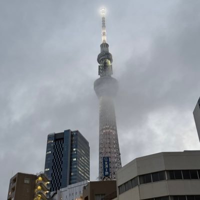 freetorest's profile picture. 