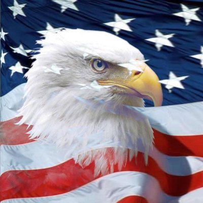AMERICA FIRST ✝️🇺🇸 | MAGA | TRUMP 2028 GO WOKE GO BROKE