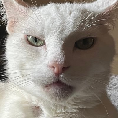 H3AVYYY's profile picture. 