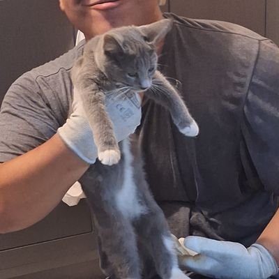 DivelaAlan's profile picture. Lic. Blackjack