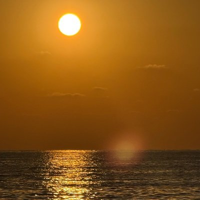 timesRleft's profile picture. 