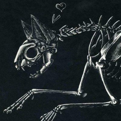 lorandarkb3ast's profile picture. 