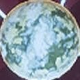 Prospering under the white yellow blue banners of the Federation of Super Earth.
